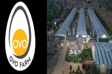 India’s OVO Farm Pioneers Blockchain Technology to Revolutionize Egg Production